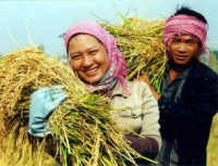 Kh&ocirc;ng nhất thiết phải r&oacute;t thật nhiều tiền mới l&agrave;m